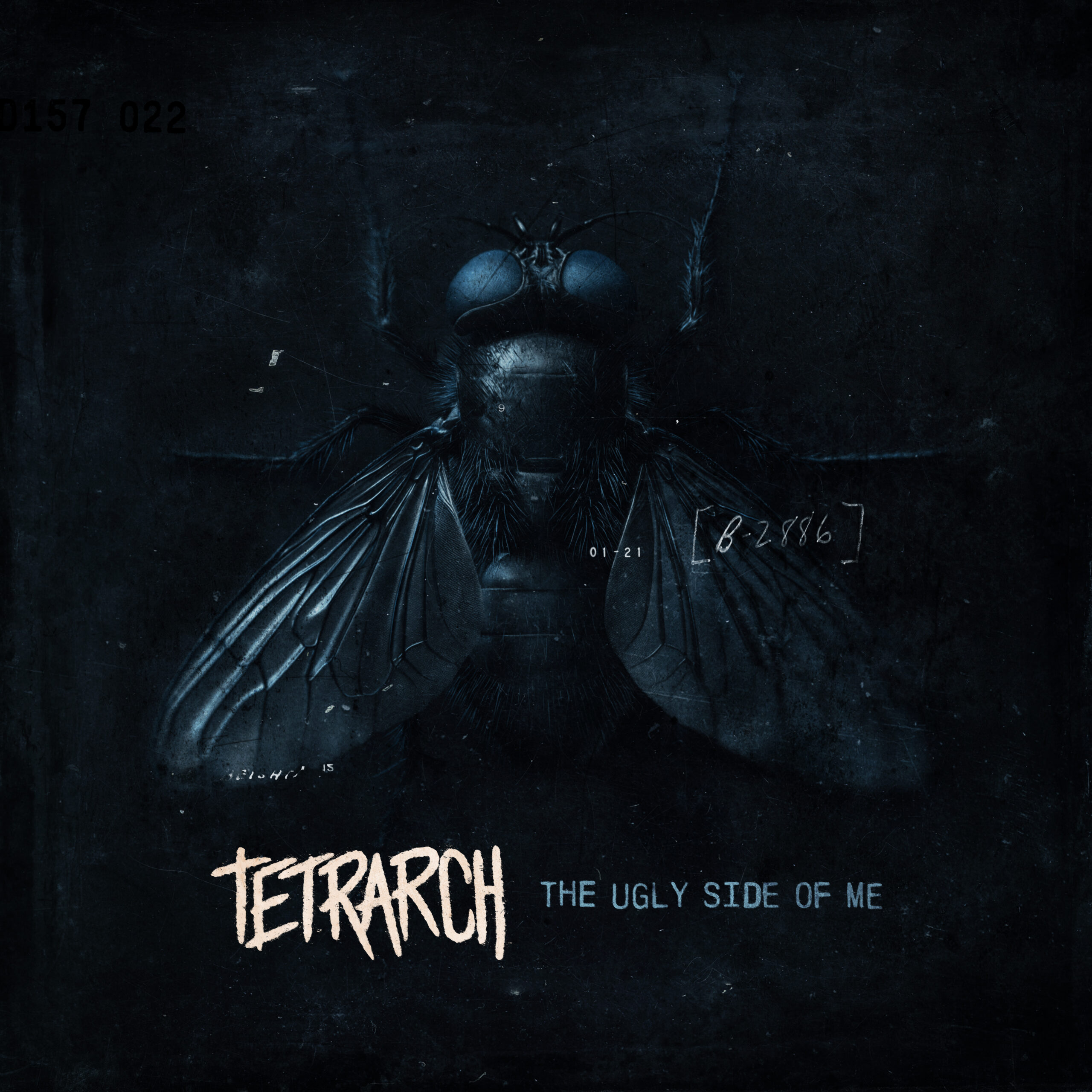 tetrarch the ugly side of me napalm records live not fantasize never again (parasite) SLH Agency PR france